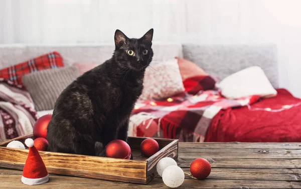 Gato Negro Con Bola Navidad Mesa Madera Interior — Foto de Stock