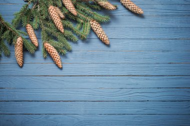 Mavi ahşap zemin üzerinde koni ile köknar dalları
