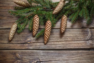 Kahverengi ahşap zemin üzerinde koni ile köknar dalları