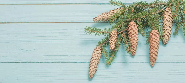 Ramos Abeto Com Cones Fundo Madeira Azul — Fotografia de Stock