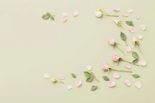 Pink White Flowers Green Paper Background — Stock Photo, Image