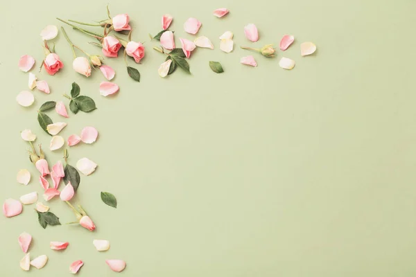 Rosa Och Vita Blommor Grönt Papper Bakgrund — Stockfoto