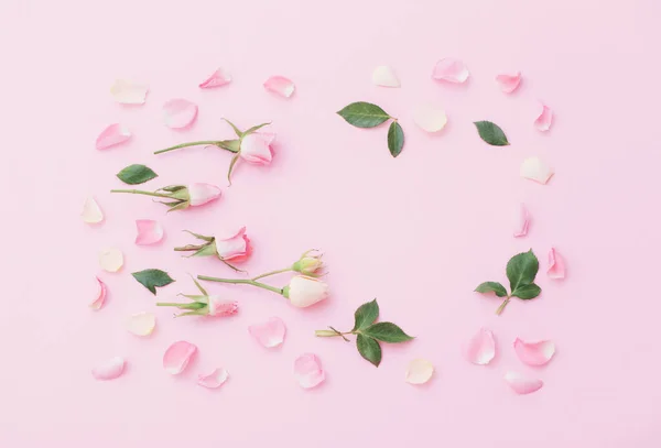Розовые Белые Цветы Фоне Розовой Бумаги — стоковое фото