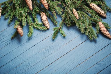 Mavi ahşap zemin üzerinde koni ile köknar dalları