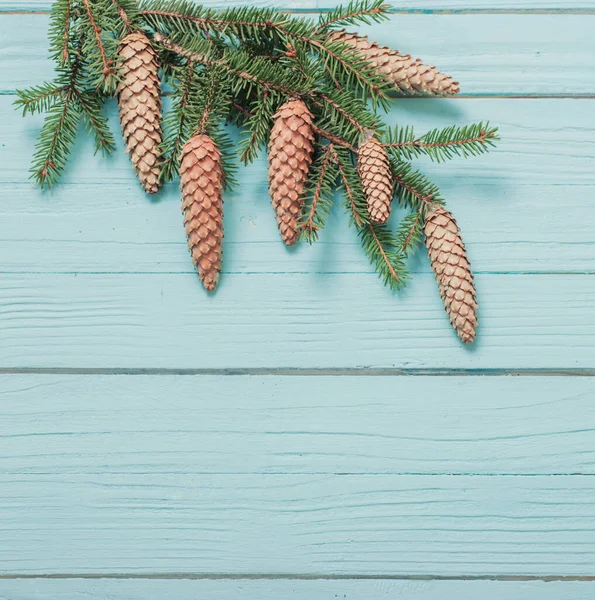 Ramos Abeto Com Cones Fundo Madeira Azul — Fotografia de Stock