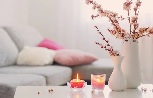 Primavera Flores Cor Rosa Vaso Interior Branco — Fotografia de Stock