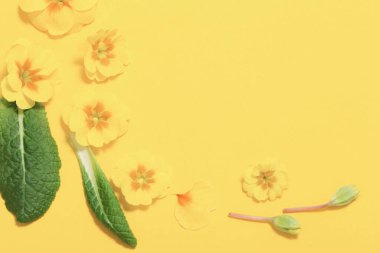 Sarı arka planda bahar çiçekleri