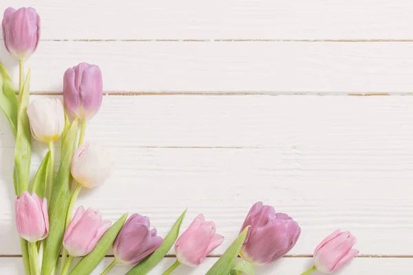 Belles Tulipes Sur Fond Blanc Bois — Photo