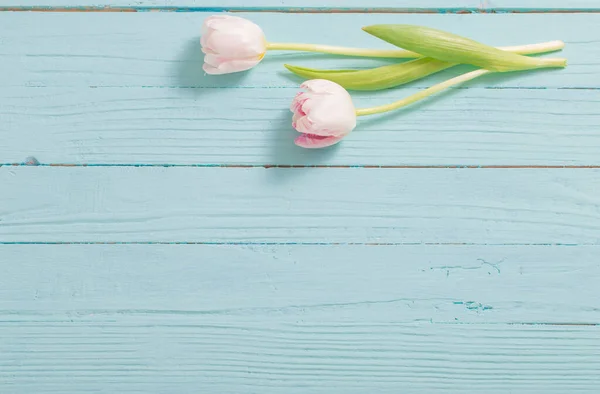 Dwa Tulipany Niebieskiej Mięcie Drewniane Tło — Zdjęcie stockowe