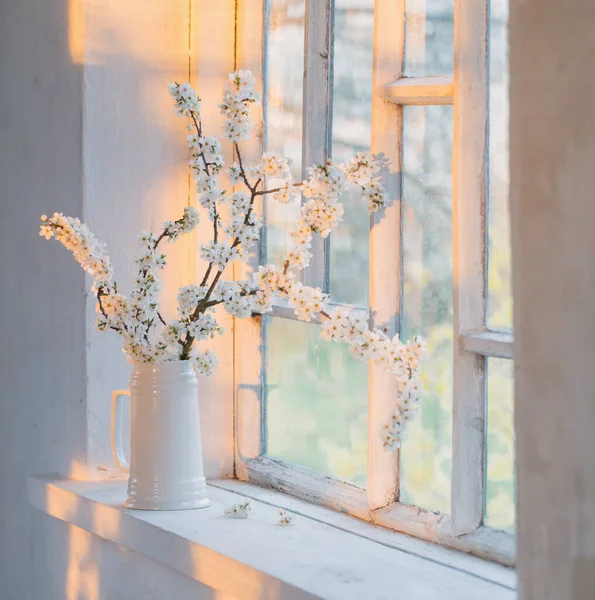 夕阳西下 窗台上挂着白色水壶的樱花 — 图库照片