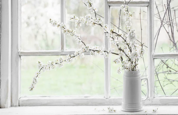 Cherry Flowers White Jug Windowsill — Stock Photo, Image