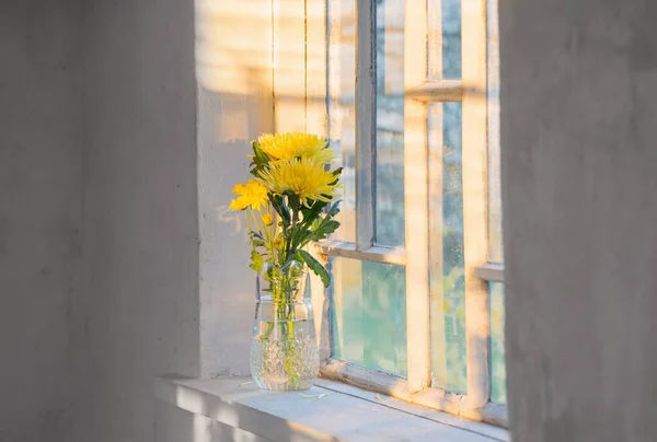 Yellow Flowers Glass Jug Windowsill — Stock Photo, Image