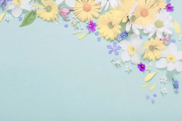 Piękne Kwiaty Niebieskim Tle Papieru — Zdjęcie stockowe