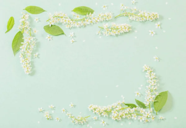 Fehér Tavaszi Virágok Papíron Háttér — Stock Fotó