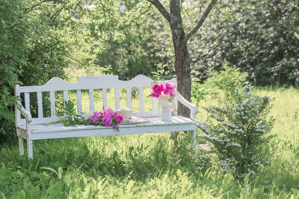 Peonia Brocca Panca Bianca Legno Nel Giardino Estivo — Foto Stock