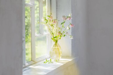 Vazodaki yaz çiçekleri güneş ışığında pencere eşiğinde