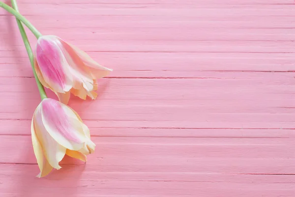 Tulipes Roses Jaunes Sur Fond Bois Peint — Photo