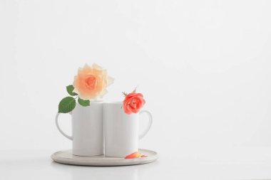 Beyaz arkaplanda iki gül.