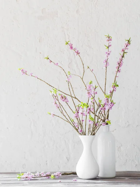 Daphne Flowers Vase Old Wooden Table Background White — Stock Photo, Image