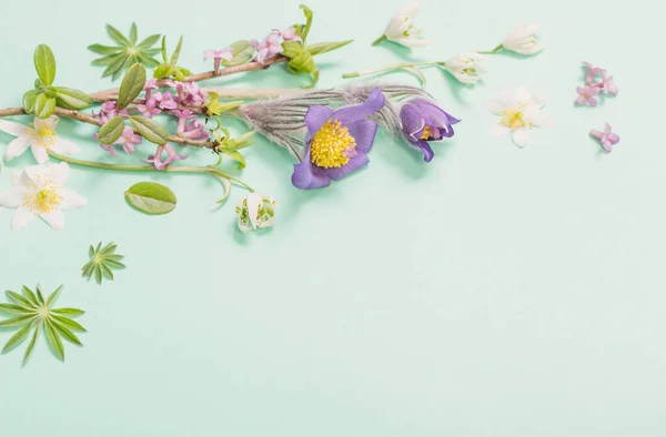 Flores Primavera Sobre Fondo Verde — Foto de Stock