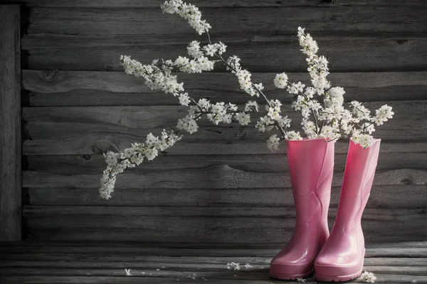 Άνθη Κερασιάς Ροζ Μπότες Βροχής Παλιό Ξύλινο Φόντο — Φωτογραφία Αρχείου