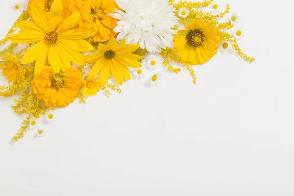 Flores Amarelas Fundo Branco — Fotografia de Stock