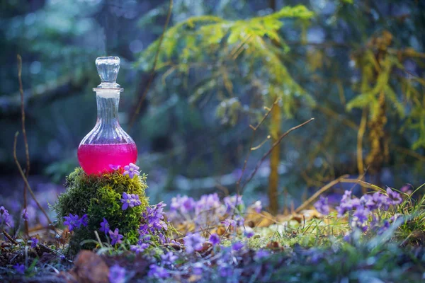 仙境森林里瓶子里的魔法药水 — 图库照片