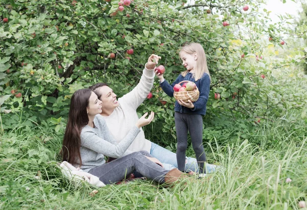 Trois Générations Femmes Une Même Famille Dans Verger Pommiers Pique — Photo