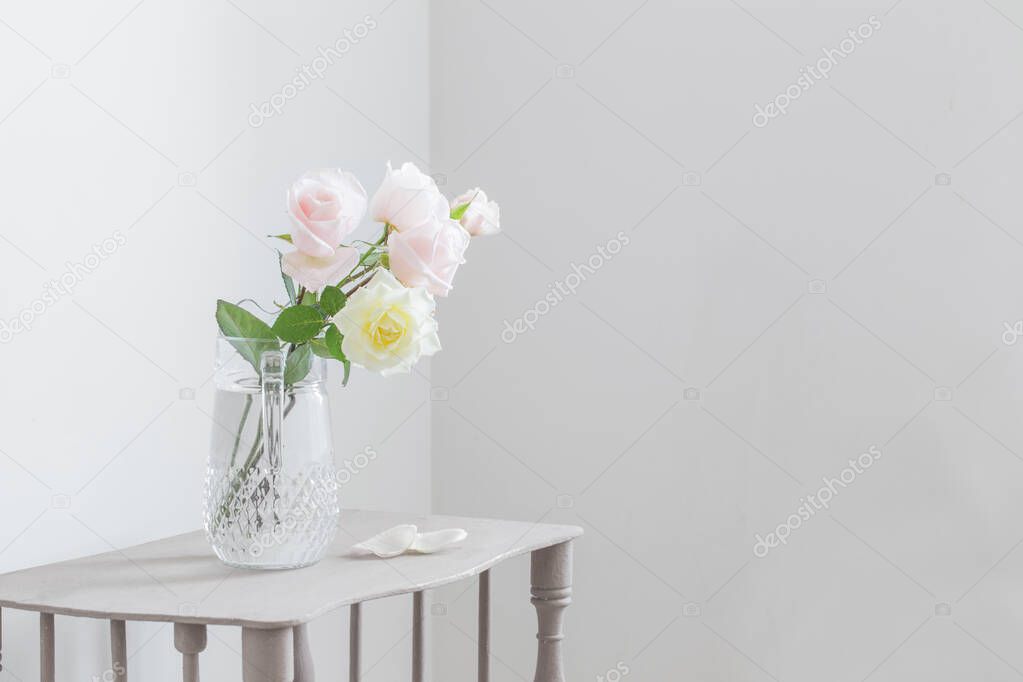 beautiful roses in glass jug on white background
