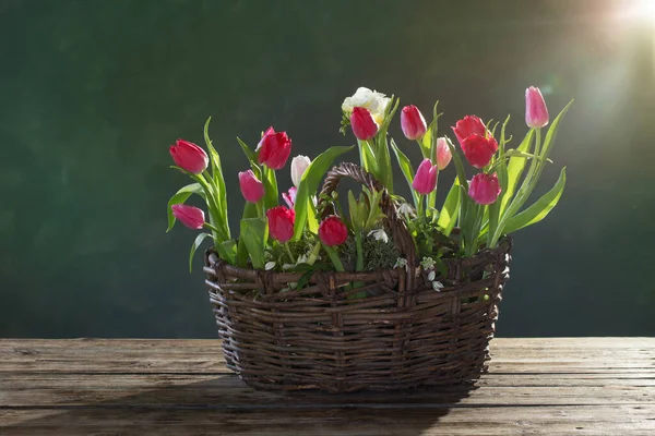 Tulipany Starym Koszyku Zielonym Tle — Zdjęcie stockowe