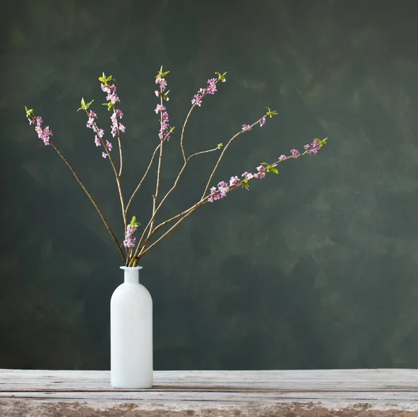 Daphne Virágok Vázában Régi Asztal Háttér Zöld Fal — Stock Fotó