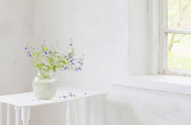 wild flowers veronica in jar in white vintage interior clipart