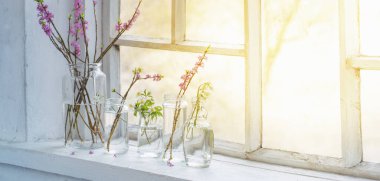 Eski beyaz pencere eşiğindeki kavanozlarda bahar çiçekleri