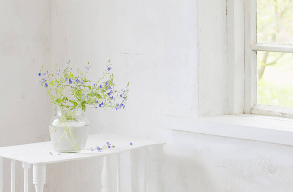 wild flowers veronica in jar in white vintage interior