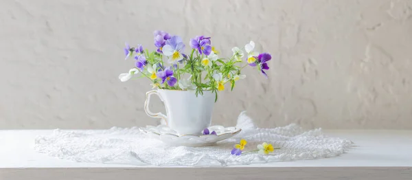 Viola Flores Copa Blanca Sobre Fondo Blanco — Foto de Stock