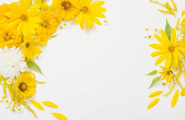 Flores Amarillas Sobre Fondo Blanco —  Fotos de Stock