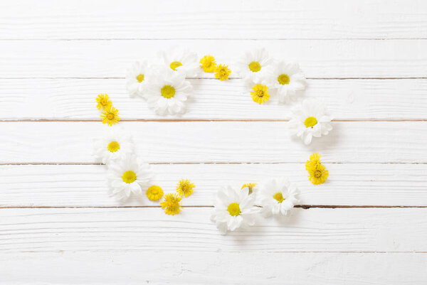 white chrysanthemum and yellow coltsfoot on white wooden background