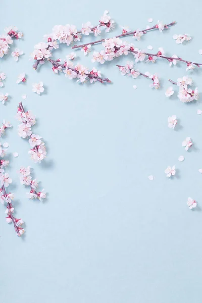 Fleurs Cerisier Rose Sur Fond Papier — Photo