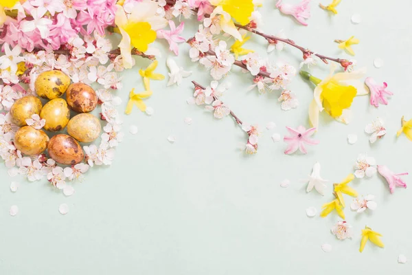 Fond Pâques Avec Oeufs Fleurs — Photo