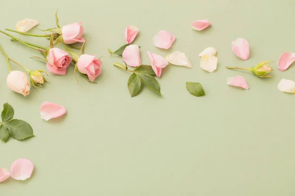 Ροζ Και Λευκά Λουλούδια Πράσινο Φόντο Χαρτί — Φωτογραφία Αρχείου