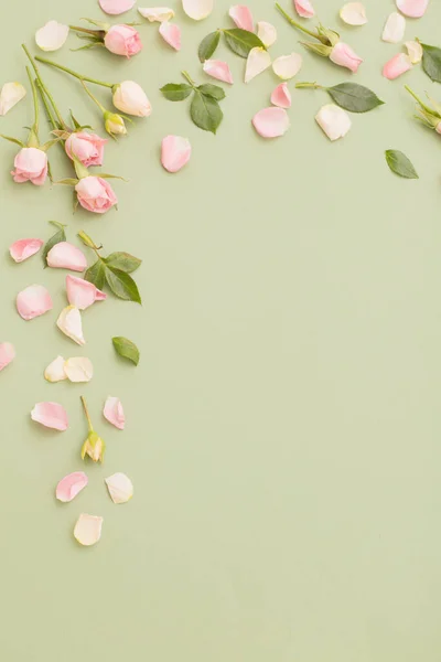 Розовые Белые Цветы Зеленом Фоне Бумаги — стоковое фото