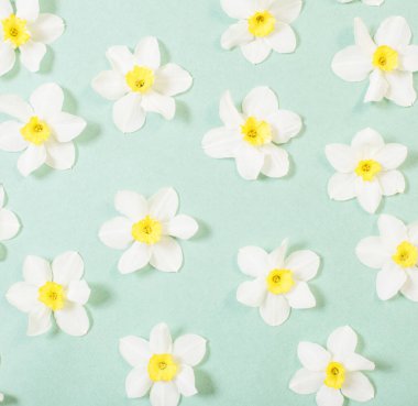 Yeşil kağıt arka planda beyaz narsis