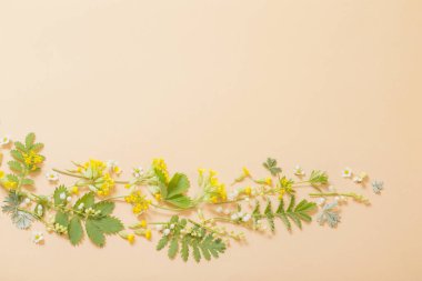 Kağıt arkaplanda yabani çiçekler