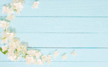 Mavi ahşap arkaplanda beyaz çiçekler
