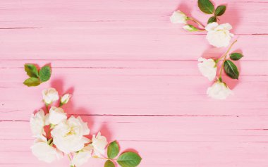 Beyaz güller pembe ahşap arka planda