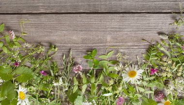 Eski karanlık ahşap arka planda yabani bitkiler