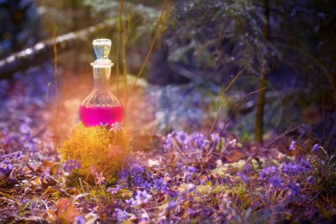 Sihirli iksir peri ormanında şişede