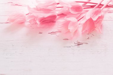 Boyanmış ahşap arka planda pembe laleler