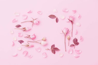 Pembe kağıtta pembe ve beyaz çiçekler