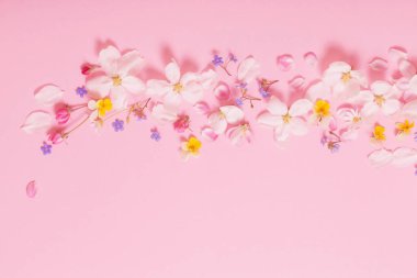 Pembe arka planda bahar çiçekleri